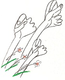 Drawing by Mahnaz Badihian